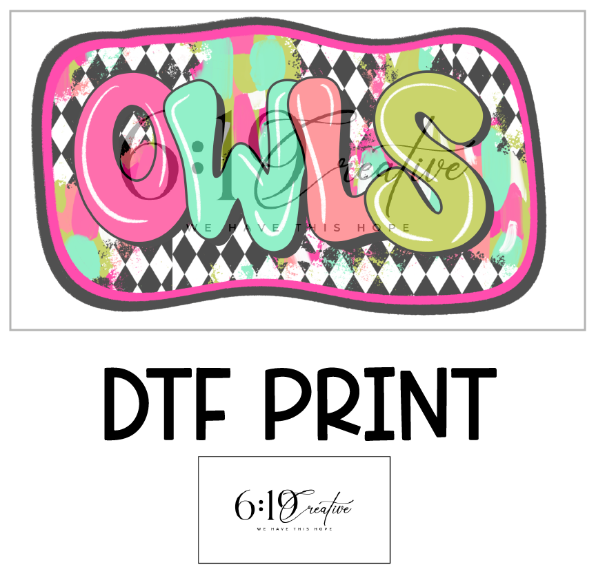 Owls Bright Brush Strokes DTF Print